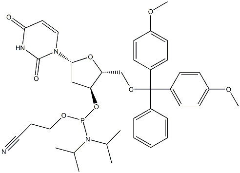 5'-DMT-dU 포스포르아미다이트