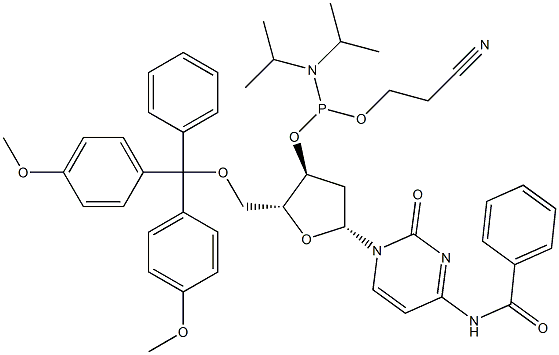 5'-O-DMT-N4-벤조일-2'-데옥시시티딘 3'-CE 포스포르아미다이트