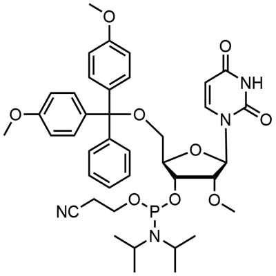 DMT-2'O-메틸-rU 포스포라미다이트