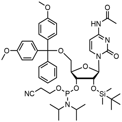 DMT-2'O-TBDMS-rC(ac) 포스포라미다이트