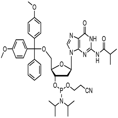 DMT-dG(ib) 포스포라미다이트