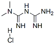 메트포르민 HCL