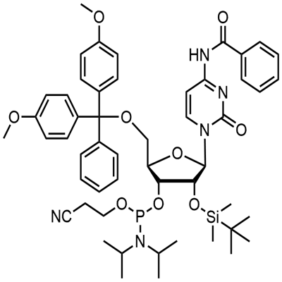 N-차단된-5'-O-DMT-2'-O-TBDMS CED 시티딘 포스포르아미다이트